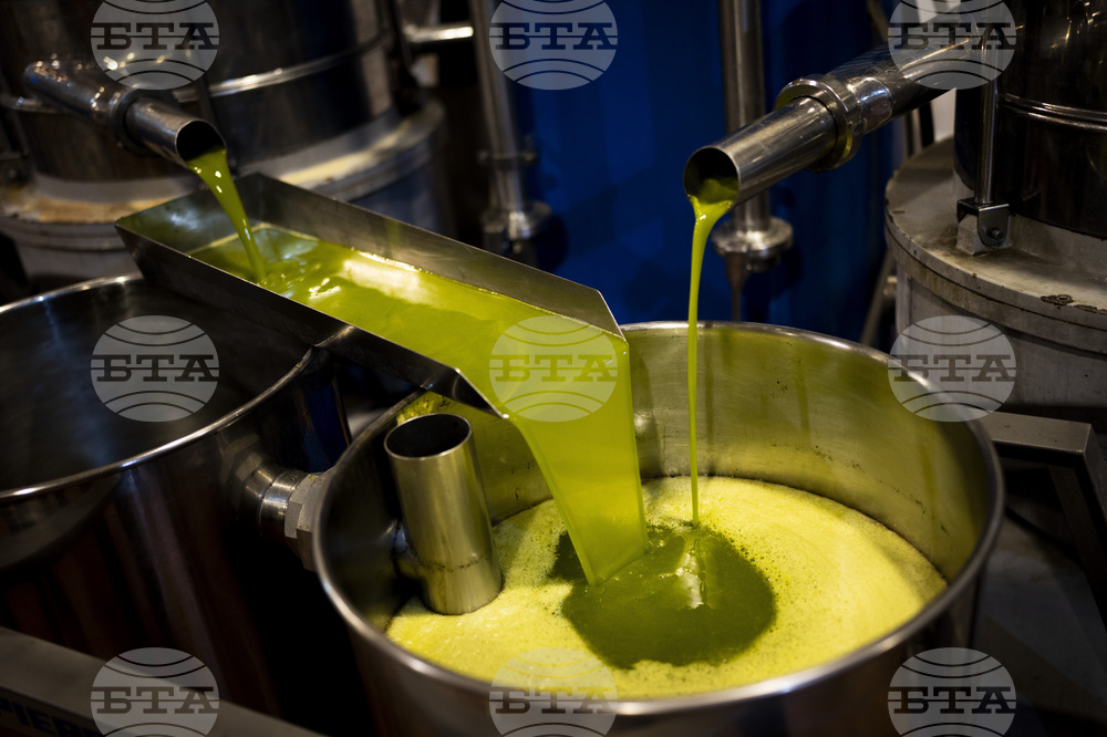 Арести в Солун за производство на тонове подправен зехтин