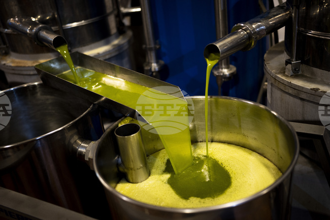 Арести в Солун за производство на тонове подправен зехтин