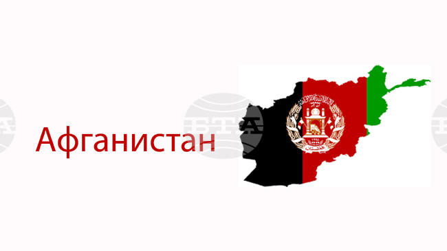 Афганистанските талибани се съгласиха да освободят задържания американски гражданин Денис Койл 