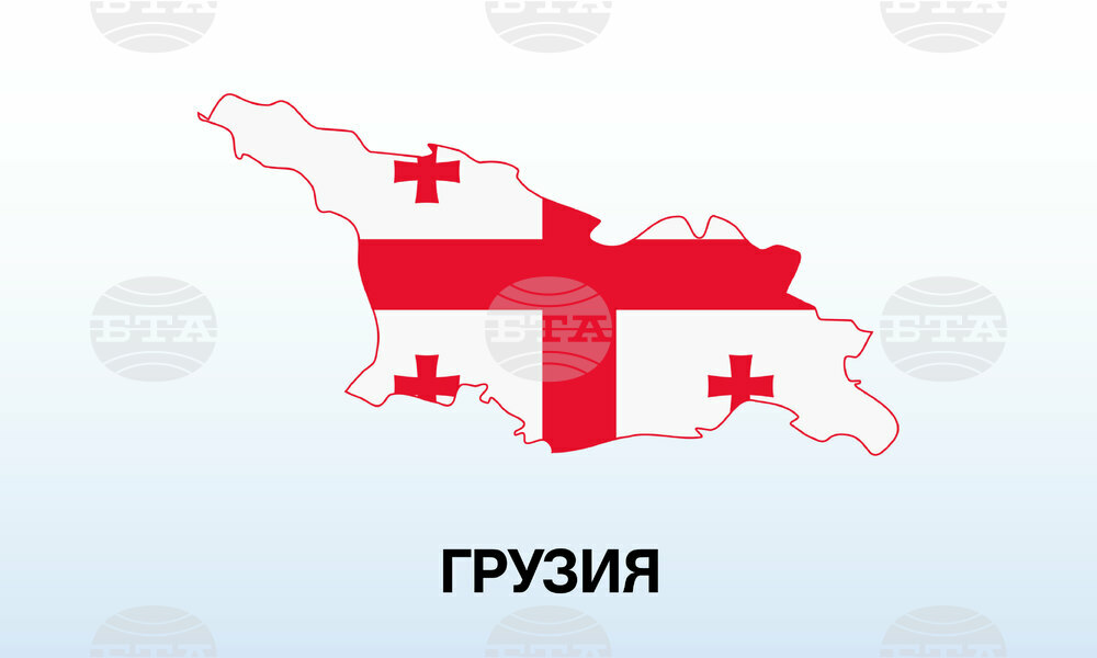 Грузия е решена да работи за получаване на статут на кандидат за членство в ЕС