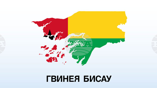 Гражданите на Гвинея-Бисау одобриха на рефередум законопроект за нова конституция, даваща по-големи правомощия на президента