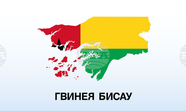 Гражданите на Гвинея-Бисау одобриха на рефередум законопроект за нова конституция, даваща по-големи правомощия на президента