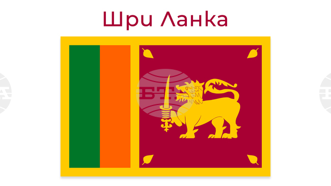 Будистки монаси се събраха на демонстрация в Шри Ланка с искане за запазване на ролята им в държавните дела
