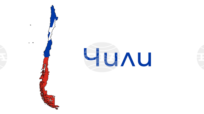  В Чили е открита вкаменелост на бозайник от времето на динозаврите