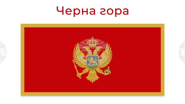 Президентът на Черна гора осъди заплахите срещу лидера на ислямската общност в страната след поредица от инциденти между турци и черногорци