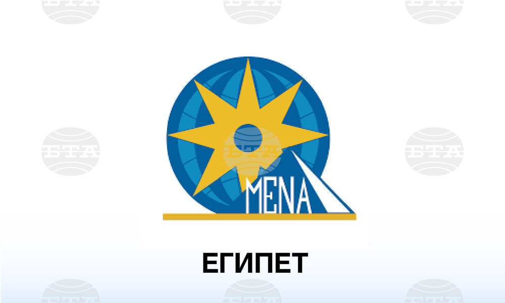 МЕНА: Египет и Нидерландия обсъдиха сътрудничеството в сферата на миграцията