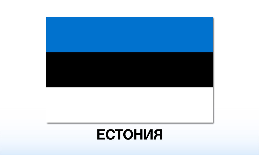 Естония задържа плаващ към Русия кораб, заподозрян в контрабанда