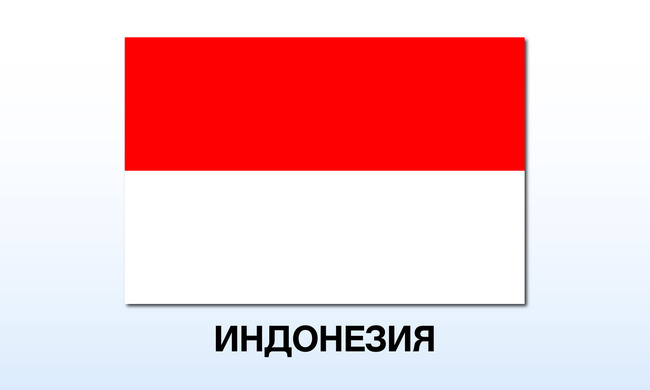Губернаторът на индонезийската столица Джакарта каза, че е готов да се кандидатира за президент през 2024 г.