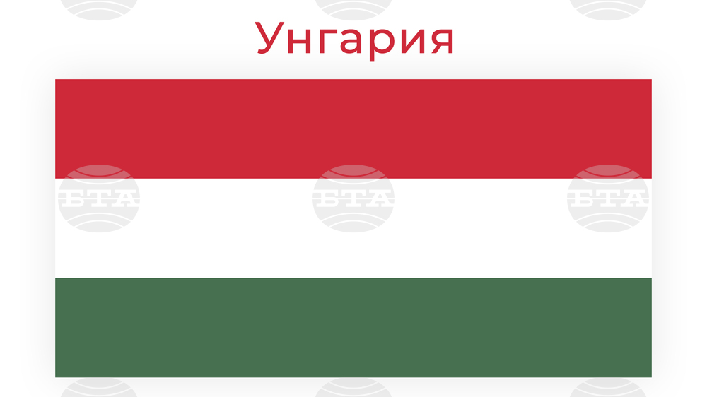 Европейският съд по правата на човека осъди Унгария заради смъртта на мигрант