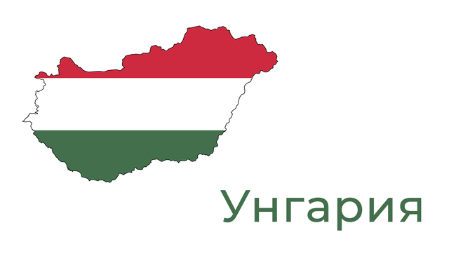 Унгарци протестираха срещу разхлабване на правилата за дърводобив, целящо справяне с енергийната криза