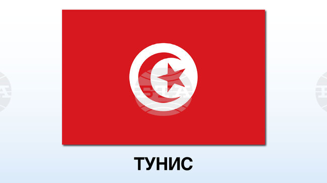 Тунизийски съд осъди лидерката на опозиционната Свободна конституционна партия Абир Муси на 12 години затвор