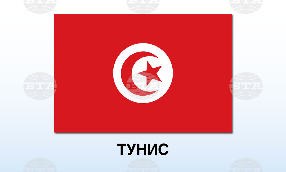 Тунизийски съд осъди лидерката на опозиционната Свободна конституционна партия Абир Муси на 12 години затвор