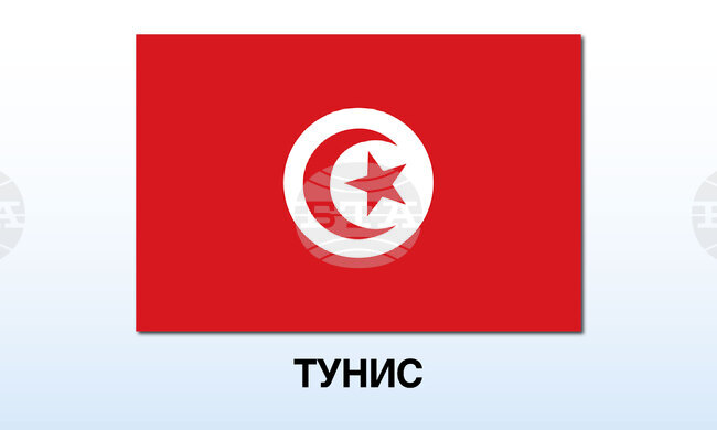 Тунизийски съд осъди лидерката на опозиционната Свободна конституционна партия Абир Муси на 12 години затвор