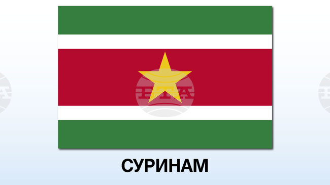 Най-малко девет загинали при нападение с нож край столицата на Суринам