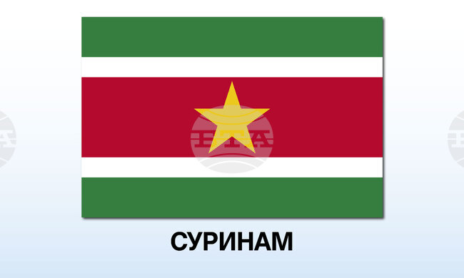 Най-малко девет загинали при нападение с нож край столицата на Суринам