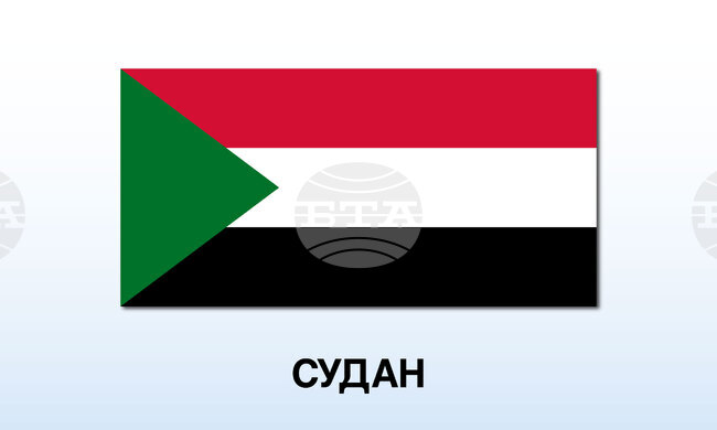 Най-малко 35 души са убити при удар с дрон в Дарфур