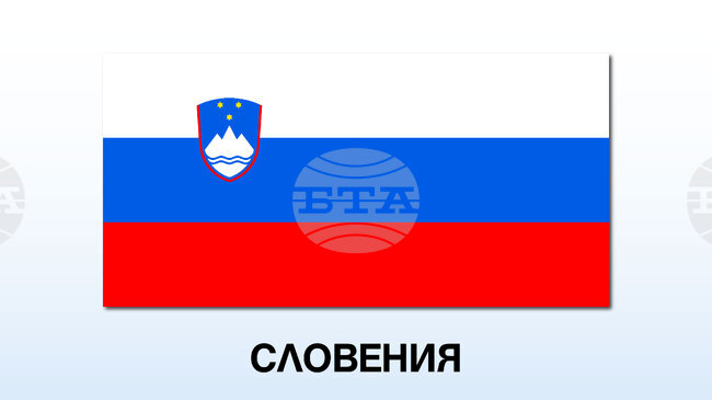 Хиляди протестират в словенския град Ново место след смъртоносно нападение, приписвано на представител на ромската общност