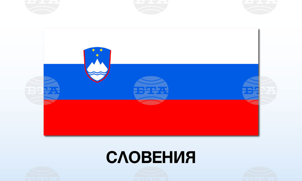 Хиляди протестират в словенския град Ново место след смъртоносно нападение, приписвано на представител на ромската общност