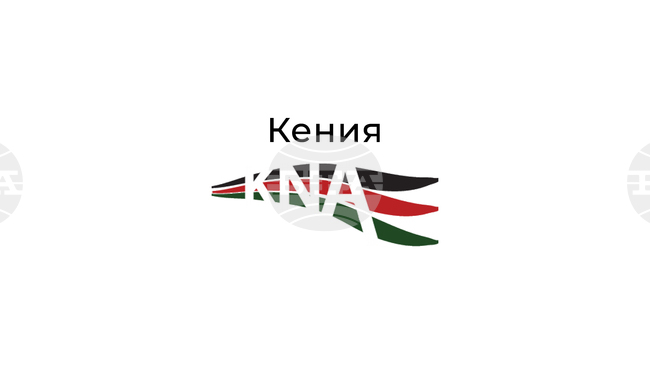  Малък самолет с 12 души на борда се разби в Кения, съобщиха властите