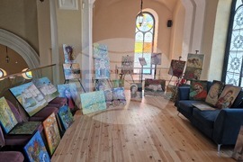 Видин - изложба - Даниела Петрова