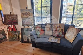 Видин - изложба - Даниела Петрова