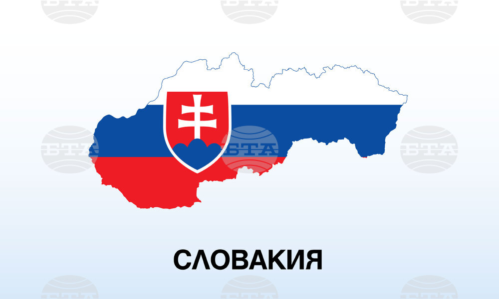 Справка за Словакия за евроизборите