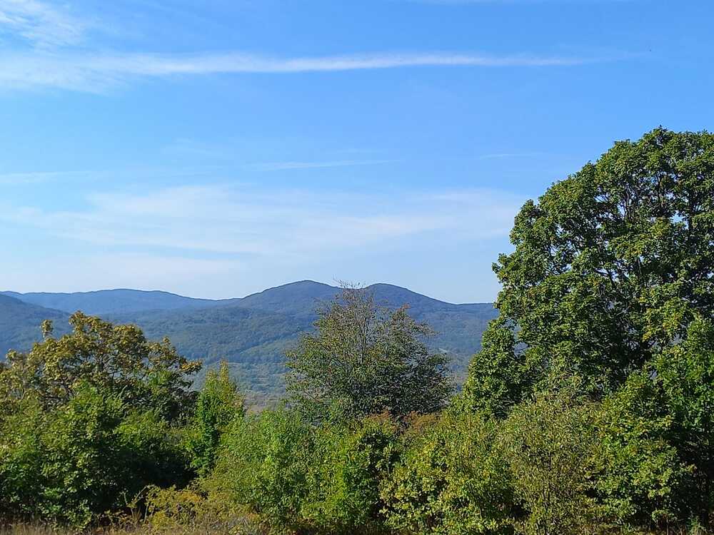 Отбелязваме Международния ден на биосферните паркове - в България те са четири 