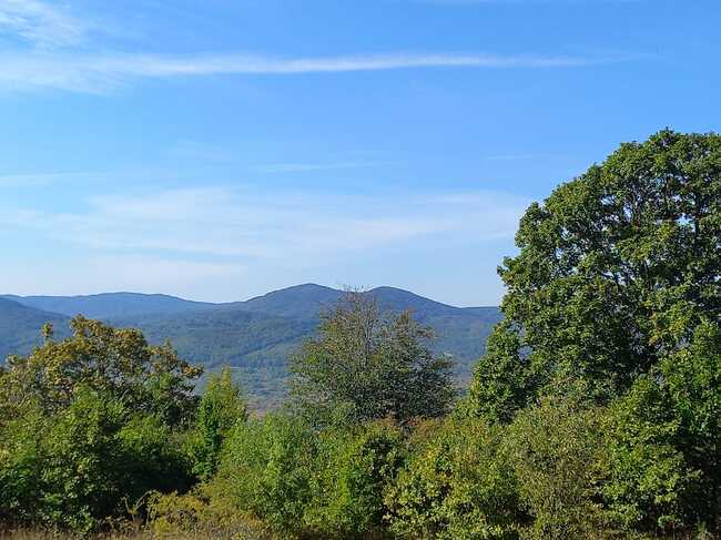 Отбелязваме Международния ден на биосферните паркове - в България те са четири 