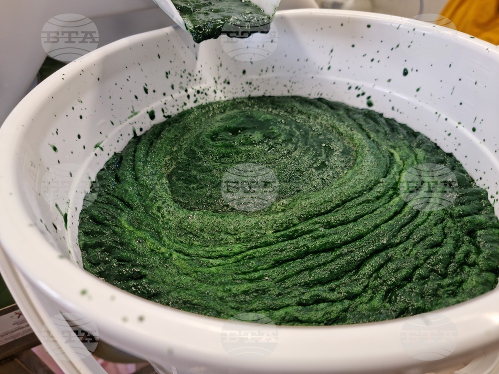 Село Зимница - НРМ - „Алгае България" ЕООД