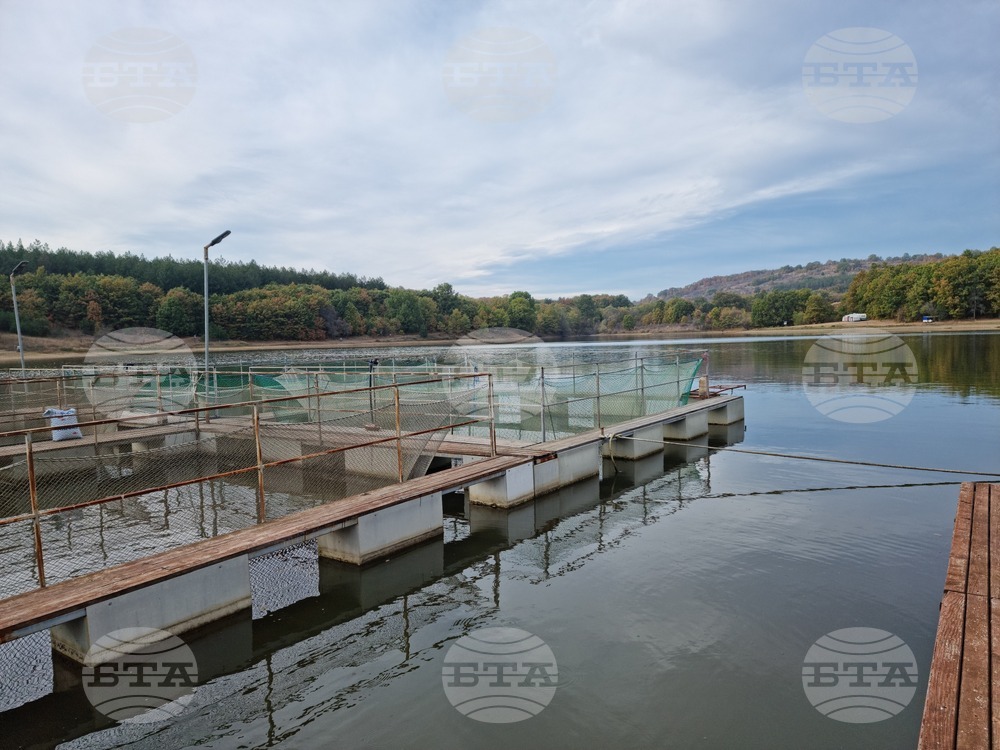 Село Могилово - НРМ - „Мидалидаре Аква" ООД