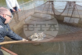 Село Могилово - НРМ - „Мидалидаре Аква" ООД