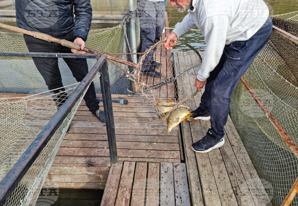 Село Могилово - НРМ - „Мидалидаре Аква" ООД