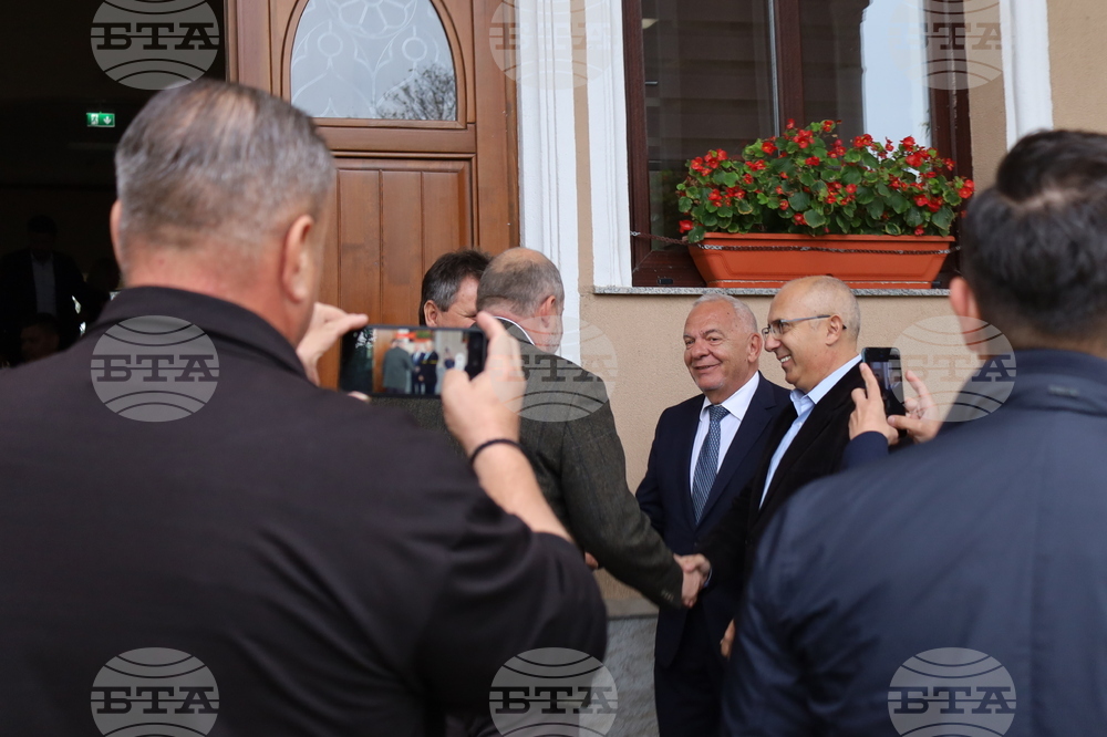 Румъния - дръвчета - засаждане