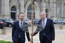 Румъния - дръвчета - засаждане