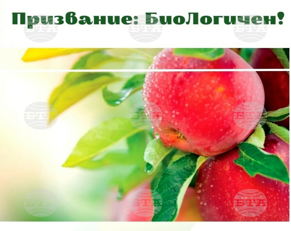 November Campaign to Promote Organic Farming