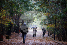 Дъждовно време