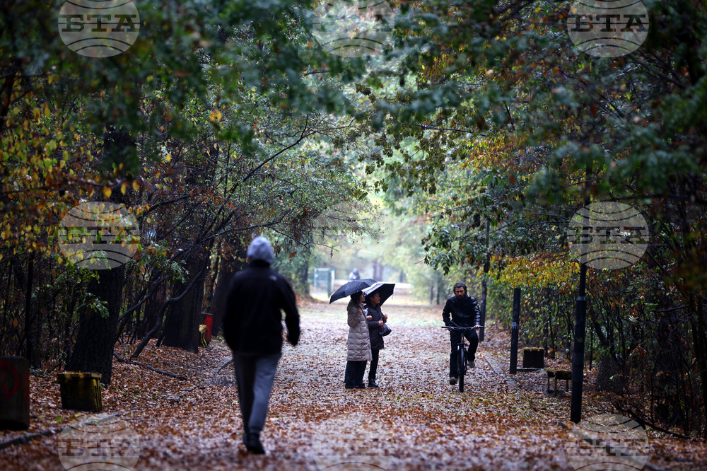 Дъждовно време