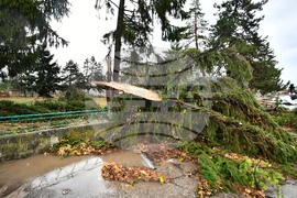 Село Лъвино - ураганен вятър - поражения