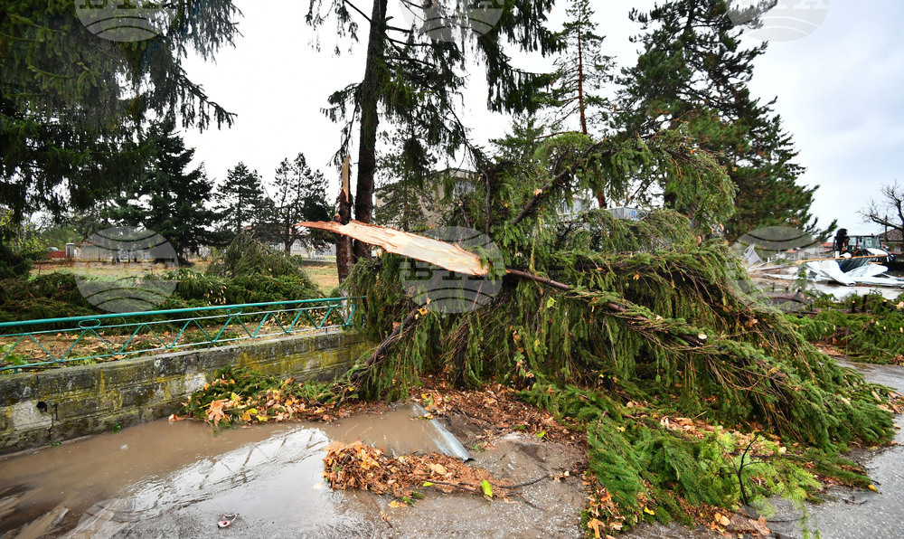 Село Лъвино - ураганен вятър - поражения