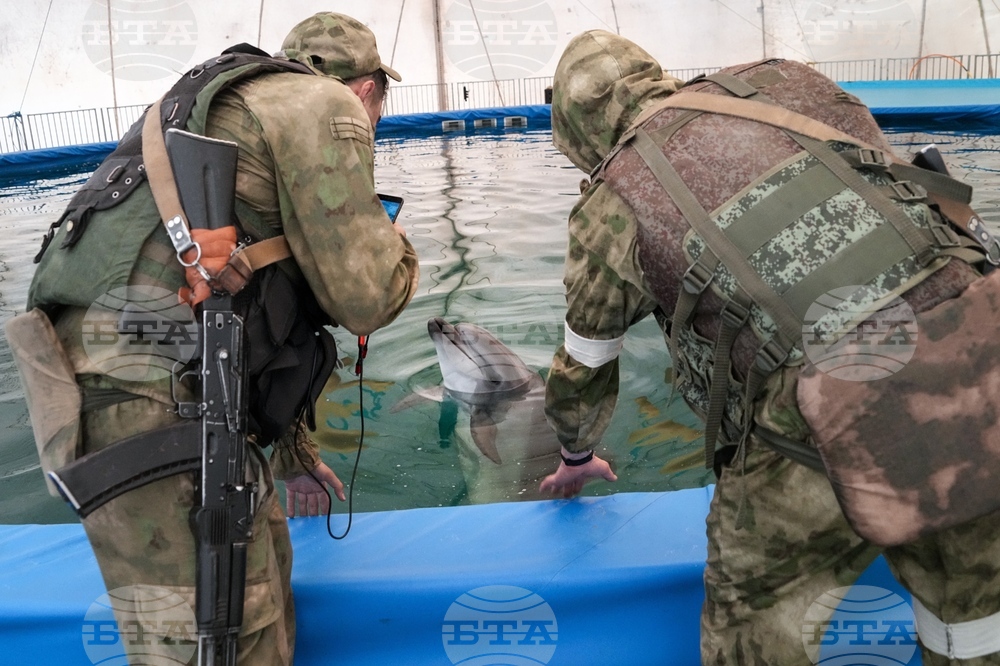 Руската база в Севастопол се пази от обучени делфини, съобщи британското министерство на отбраната