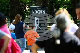 Алея "Димитър Воев"