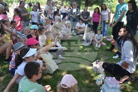 Видин - Vida Art Festival