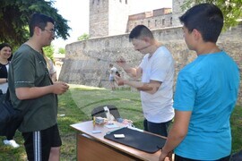 Видин - Vida Art Festival