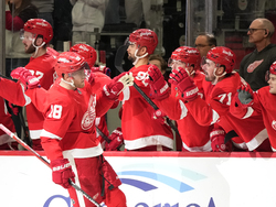 Bruins Red Wings Hockey