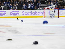 Sabres Maple Leafs Hockey