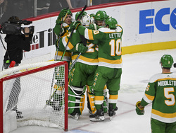 Rangers Wild Hockey