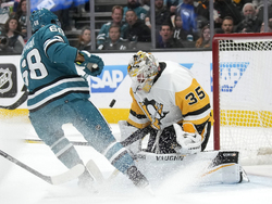 Penguins Sharks Hockey