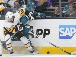 Penguins Sharks Hockey