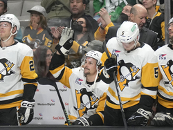 Penguins Sharks Hockey
