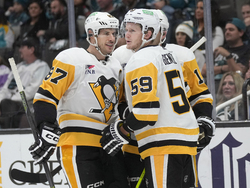 Penguins Sharks Hockey